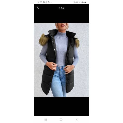Veste